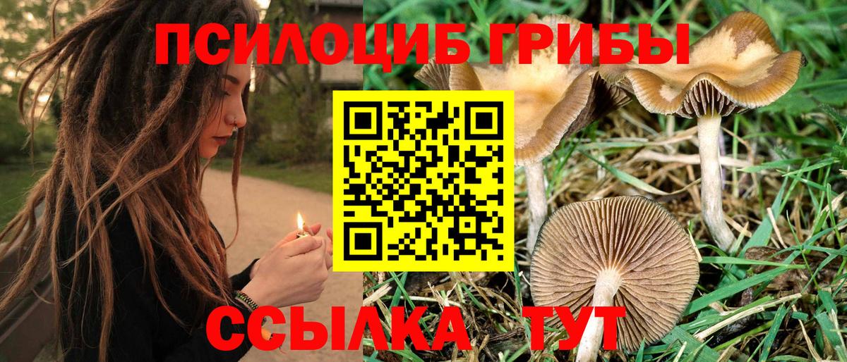 Асбест  Галлюциногенные грибы мухоморы  как найти закладки  Вход с VPN 